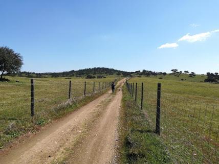 Herdade Do Gizo - Casa Reis Cuba Esterno foto